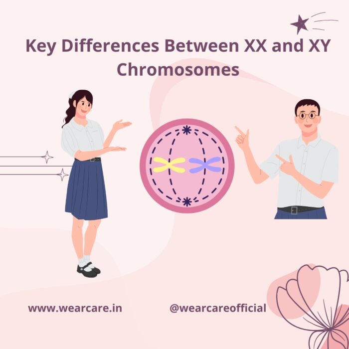 Understanding XX vs XY Chromosomes - Wearcare