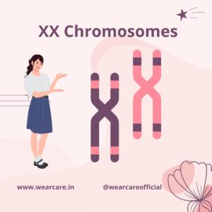 Understanding XX vs XY Chromosomes - Wearcare